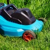 Grass Cutting